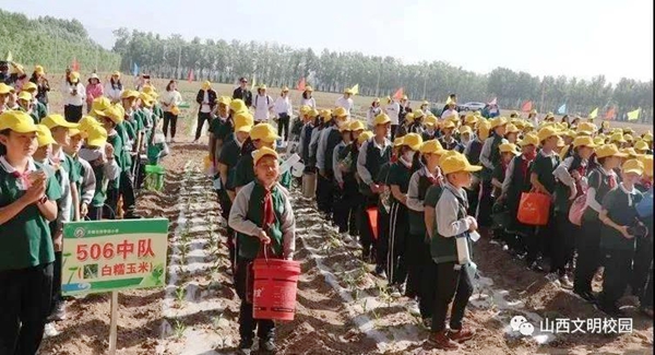 201766678d1342bf94f961609b5db3c8.jpg 5.jpg