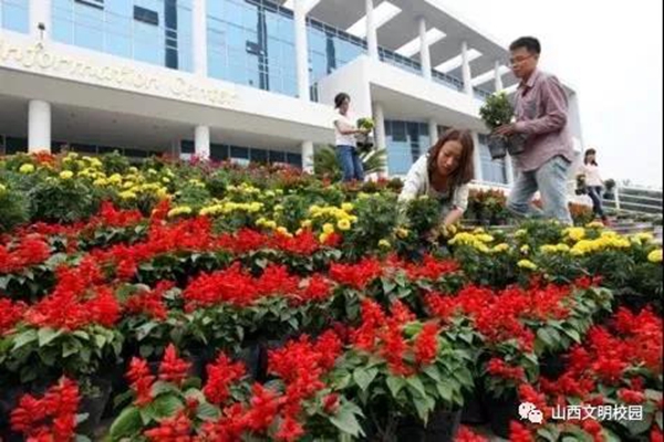 4f7f471afe984745a45468d9523ee029.jpg 1.jpg