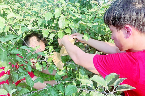 3f8e41ac68174adf949b0ec357b34adf.jpg 222.jpg