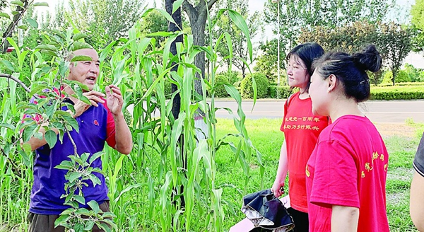 cd85c4d64c5242cb99080edbb8711b76.jpg 333.jpg