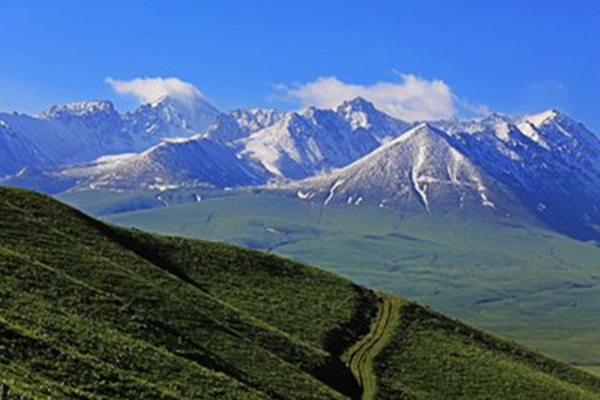 0f974cb878c445af9d1a31c2498d2a7f.jpg 11.jpg