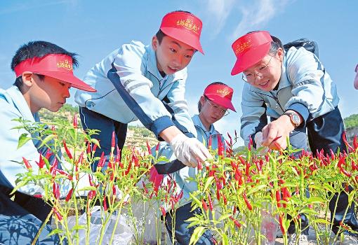 体验劳动的乐趣