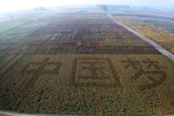 503b59aaf23549e4b57f71f2c6bc3b3a.jpg 51BF7AC0271CDE6A6B3424E1443_5C03E4ED_D5E14_副本.jpg